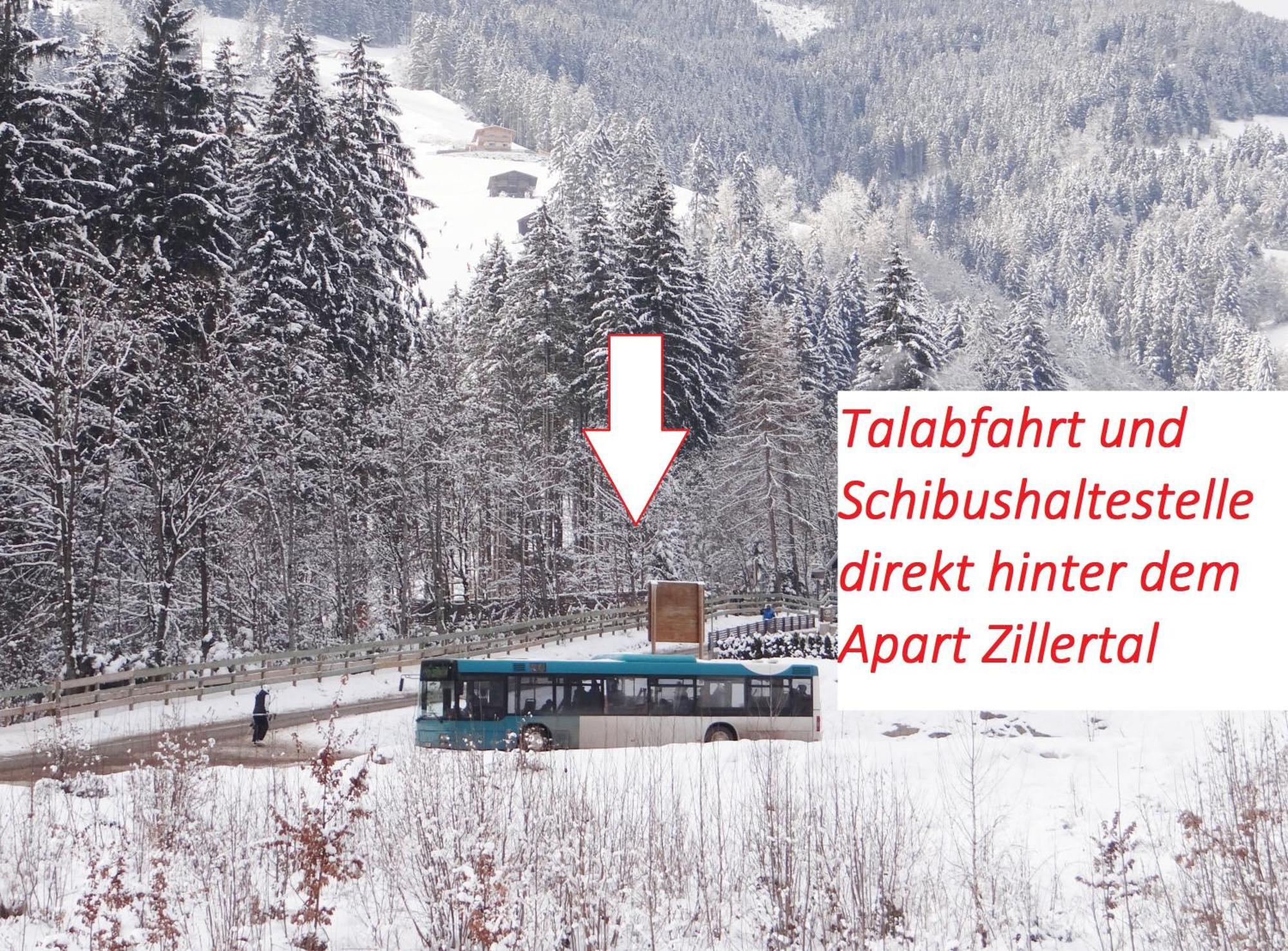 Apart Zillertal Aschau Im Zillertal Exterior foto